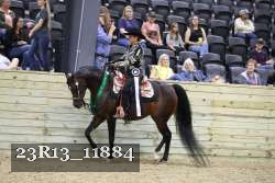 23R13_11884 thumbnail
