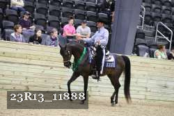 23R13_11888 thumbnail