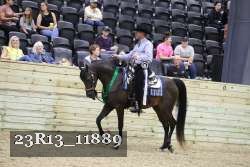 23R13_11889 thumbnail