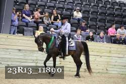 23R13_11890 thumbnail