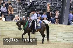23R13_11892 thumbnail