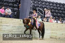 23R13_11895 thumbnail