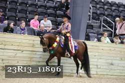 23R13_11896 thumbnail