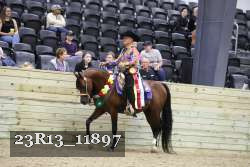 23R13_11897 thumbnail