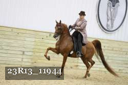 23R13_11944 thumbnail