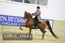 23R13_11945 thumbnail