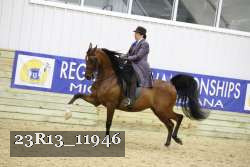 23R13_11946 thumbnail