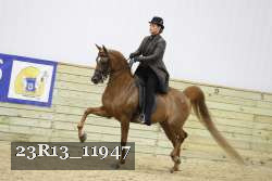 23R13_11947 thumbnail