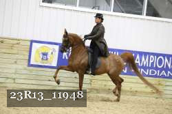 23R13_11948 thumbnail