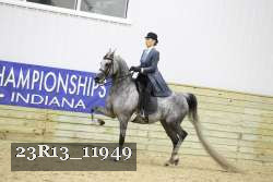 23R13_11949 thumbnail