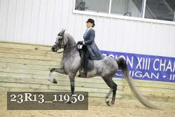 23R13_11950 thumbnail