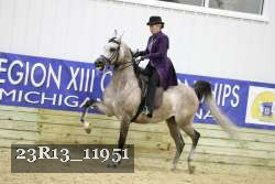 23R13_11951 thumbnail
