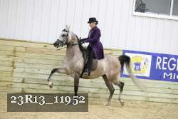 23R13_11952 thumbnail