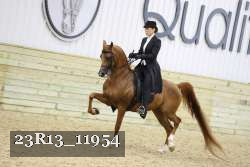 23R13_11954 thumbnail
