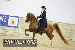 23R13_11955 thumbnail