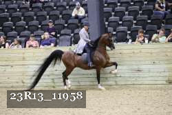 23R13_11958 thumbnail