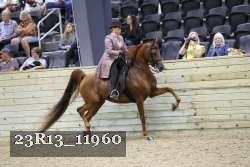 23R13_11960 thumbnail