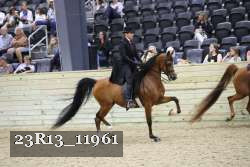 23R13_11961 thumbnail