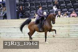 23R13_11962 thumbnail