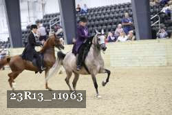 23R13_11963 thumbnail