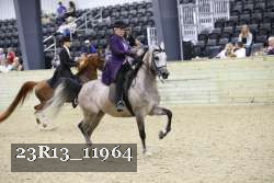 23R13_11964 thumbnail