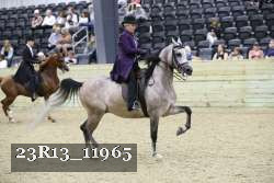 23R13_11965 thumbnail