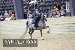 23R13_11966 thumbnail
