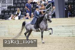 23R13_11967 thumbnail