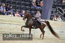 23R13_11992 thumbnail
