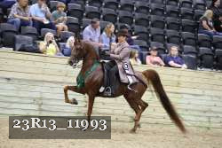 23R13_11993 thumbnail