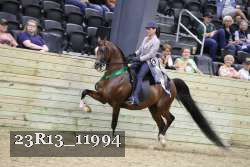 23R13_11994 thumbnail