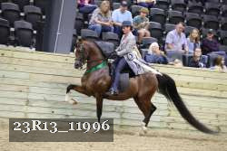 23R13_11996 thumbnail