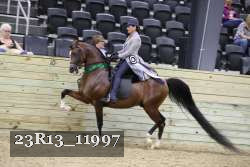23R13_11997 thumbnail