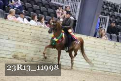 23R13_11998 thumbnail