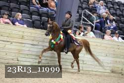 23R13_11999 thumbnail