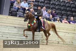 23R13_12000 thumbnail