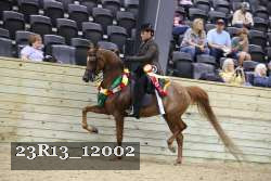 23R13_12002 thumbnail