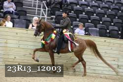 23R13_12003 thumbnail