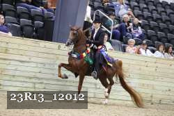 23R13_12012 thumbnail