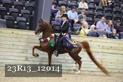 23R13_12014 thumbnail
