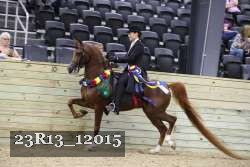 23R13_12015 thumbnail