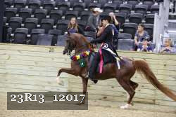 23R13_12017 thumbnail
