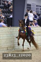 23R13_12020 thumbnail