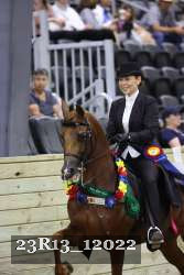 23R13_12022 thumbnail