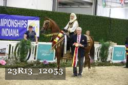 23R13_12053 thumbnail