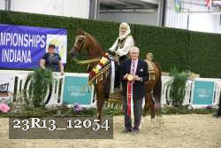 23R13_12054 thumbnail