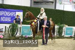 23R13_12055 thumbnail