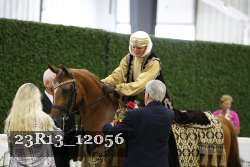23R13_12056 thumbnail
