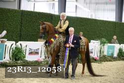 23R13_12058 thumbnail