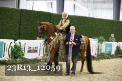 23R13_12059 thumbnail